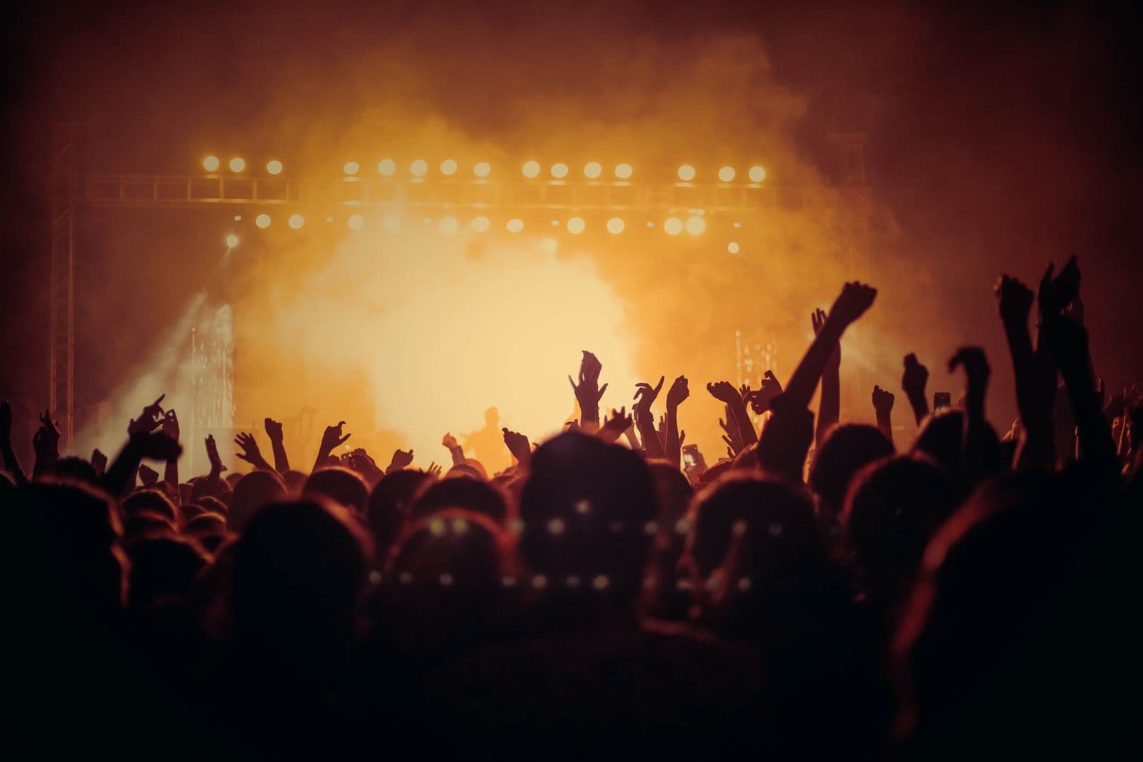 Crowd at a live music event
